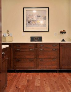 KitchenDesignerT1Bian