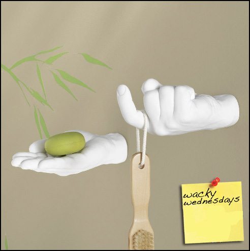 Wacky Wednesday Need a Hand in the Bathroom?