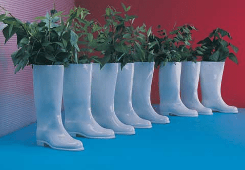Wacky Wednesday These Boots Are Made For Planting