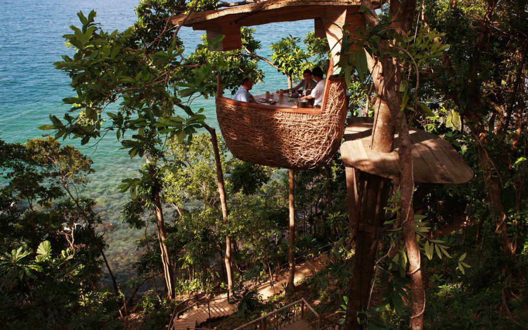 Wacky Wednesday Treetop Dining in a Birds Nest in Thailand