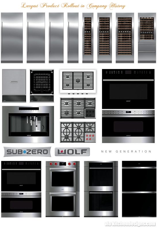 Sub zero wall shop oven
