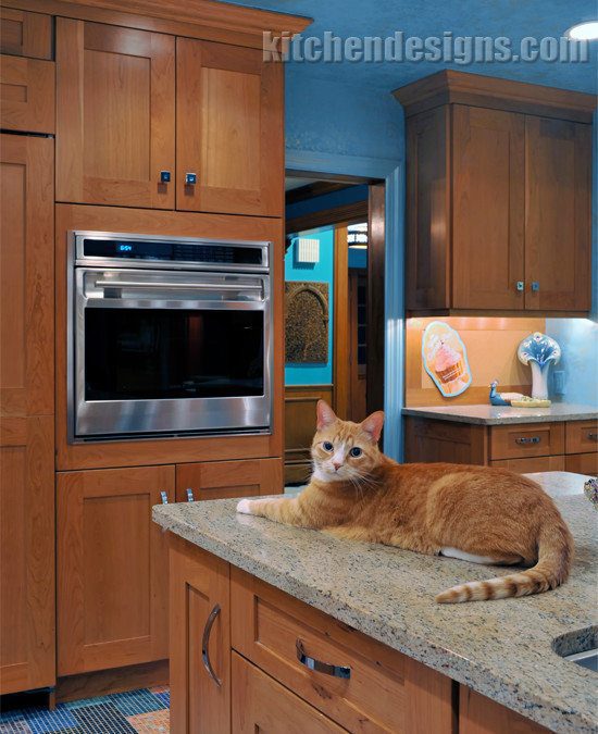 Cat Lovers Kitchen