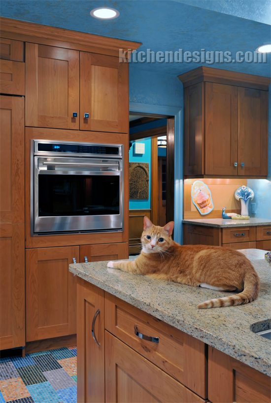 cat kitchen accessories