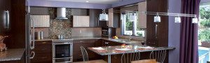 zebra exotic wood kitchen