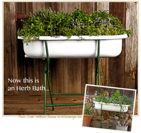 Raised Herb Planter that is made of an old vintage bathtub - perfect gardening container