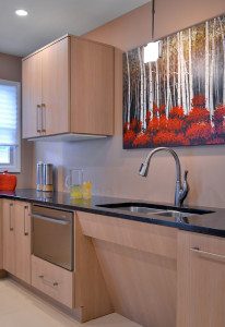 ADA Kitchen for Wheelchair Accessibility and Universal Design