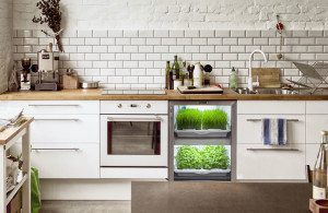 Urban Cultivator Kitchen Herb Garden