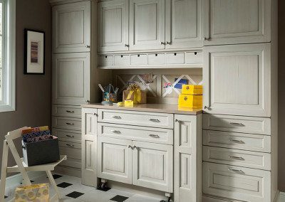 craft room pull out cabinet