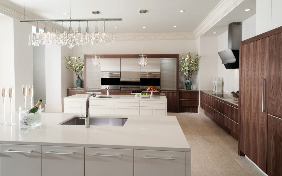 Sophisticated Modern Kitchen