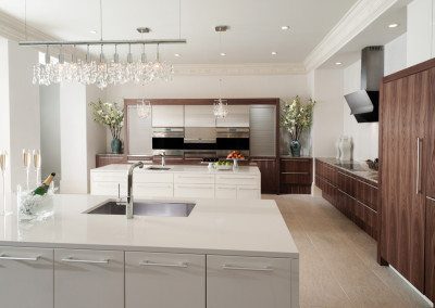 Sophisticated Modern Kitchen