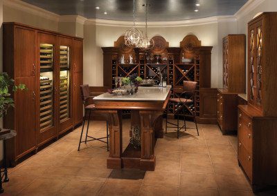 wine room and wine cellar