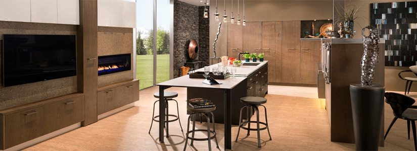 Contemporary Kitchen Design