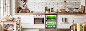 hottest new trends in kitchen design - herbs in the kitchen