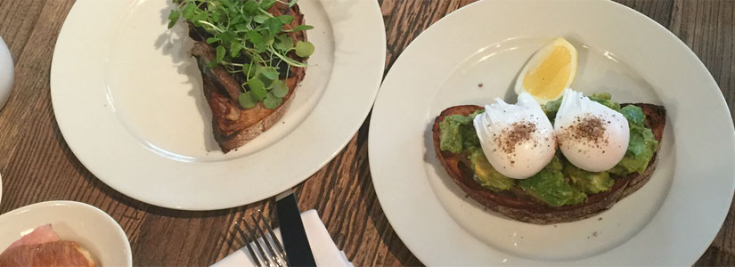 Poached Eggs and Avocado Toast