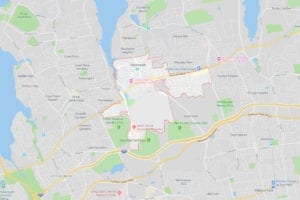 Manhasset NY