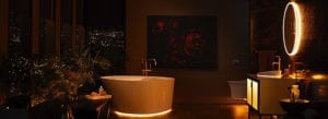 Kohler Veil Lighted Bathroom