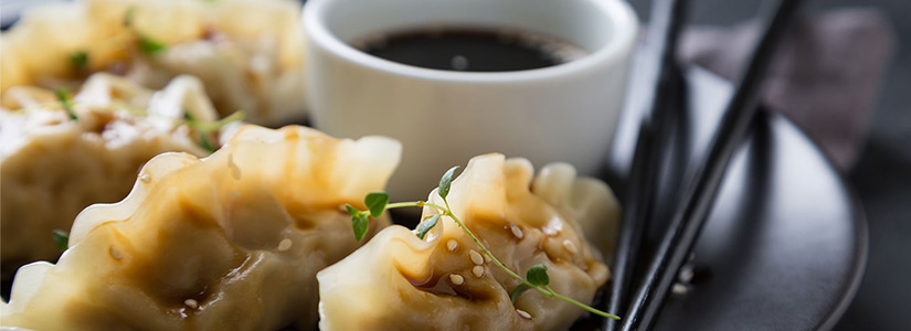 Homemade Chinese Dumplings